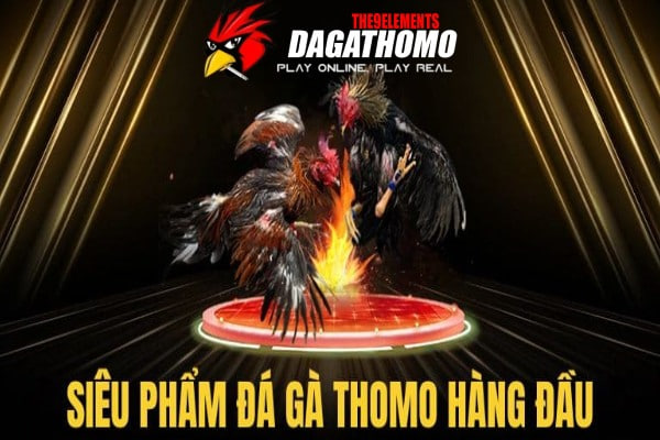 Siêu phẩm đá gà thomo